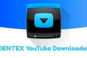 dentex-youtube-downloader-logo