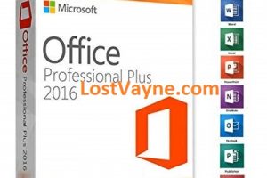 MS Office Professional Plus Key